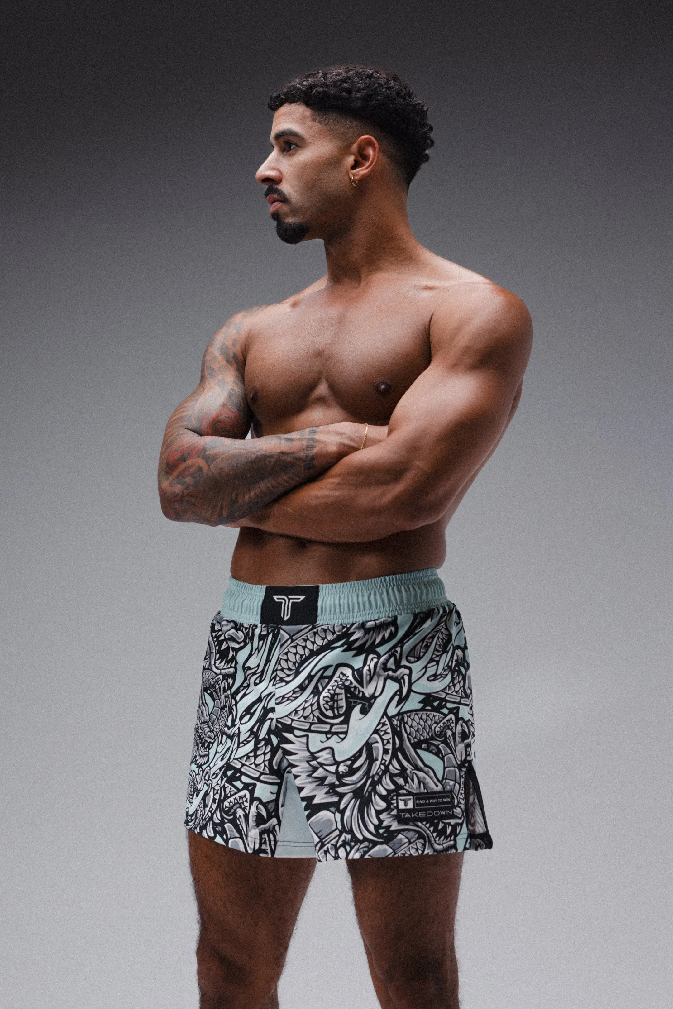 Iron Dragon Fight Shorts (5"&7“ Inseam) - Mint