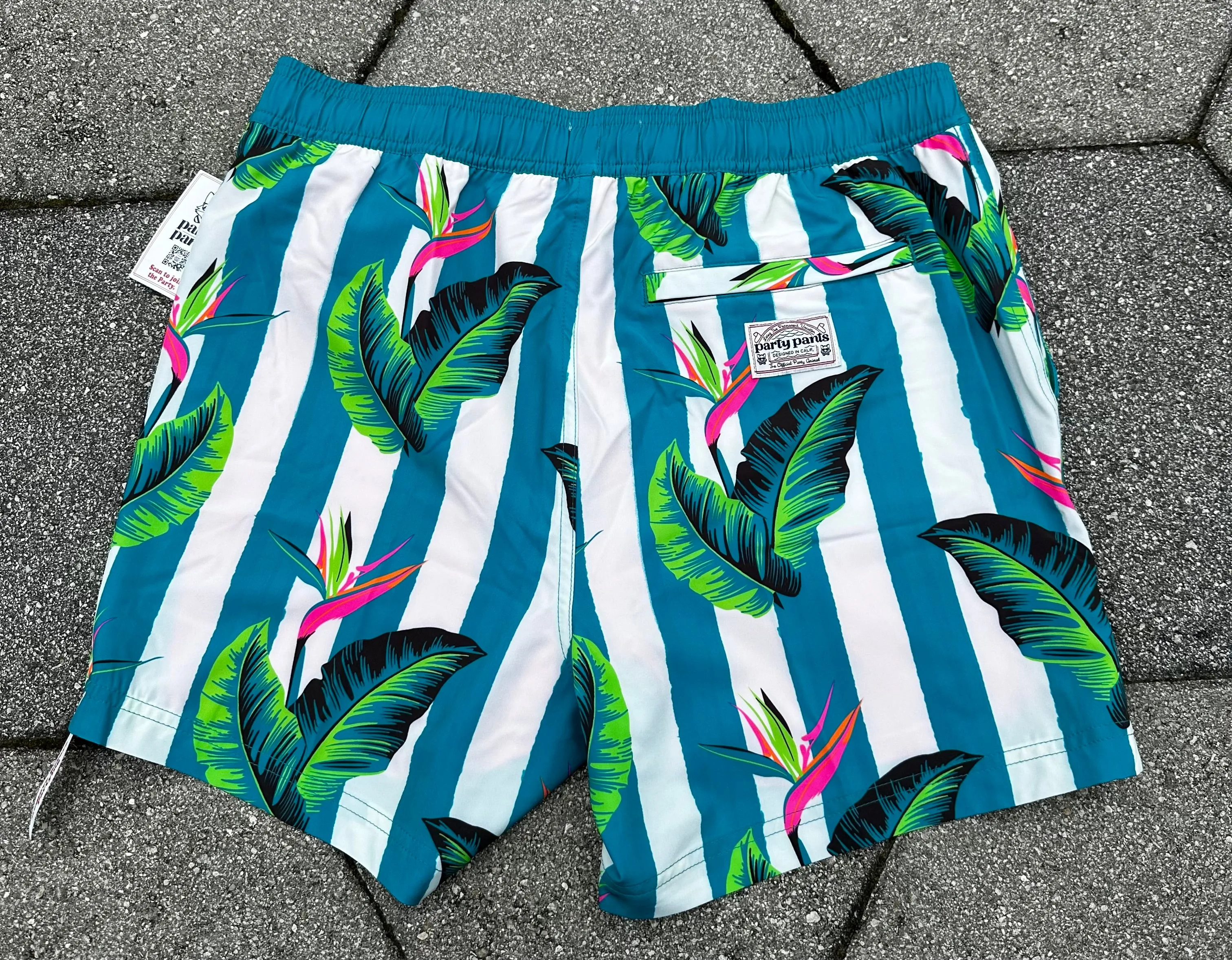 Party Pants Gulf Stripe Sport Swim Trunk